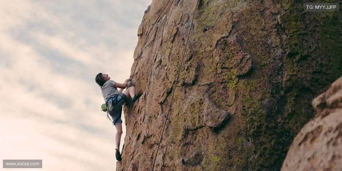 顶级真人视讯大厅：荷官全品类桌游互动，高清投注刺激